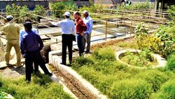 Menschen auf Wasserfarm