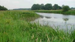 Schwarze Elster bei Jessen 