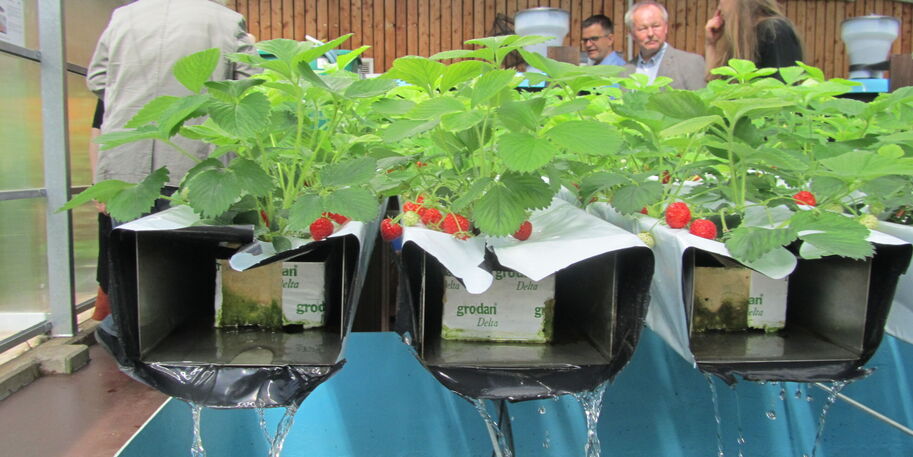 © inter 3 / ROOF WATER-FARM