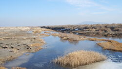 Ansicht eines Flusslaufs mit Niedrigwasser im Iran