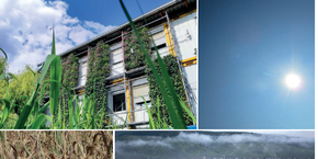 Titelansicht der Fachzeitschrift