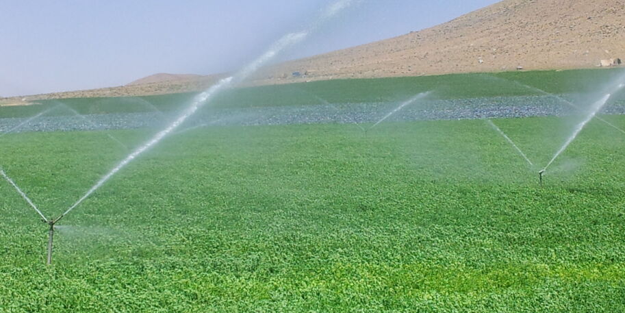 Landwirtschaftliche Bewässerung im Einzugsgebiet des Zayandeh Rud