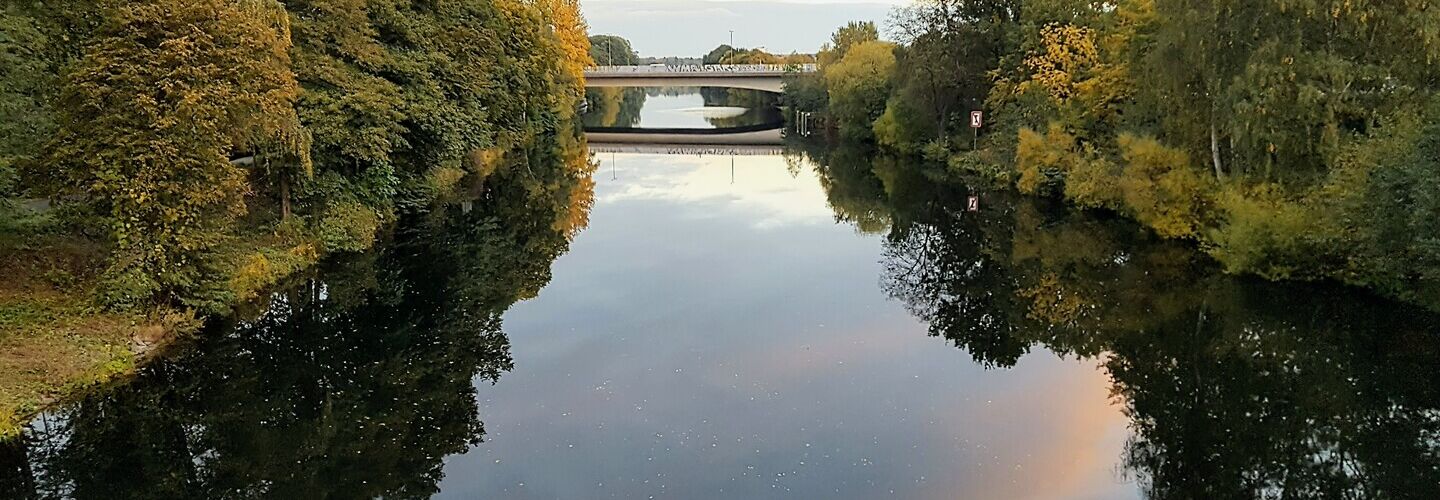 Spree und Landschaft