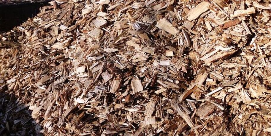 Hackschnitzelproduktion aus Waldrestholz des Landesbetriebs Forst bei Oppelhain in Südbrandenburg © Torsten Rakel