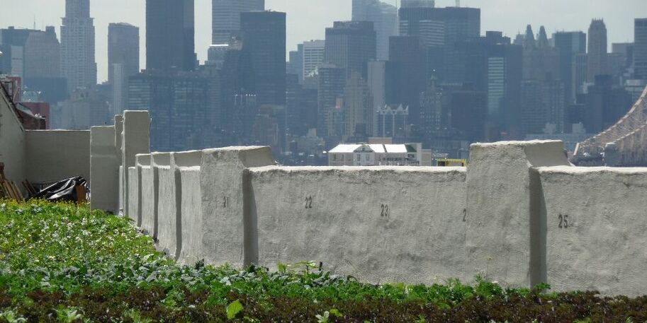 Dachgarten in New York